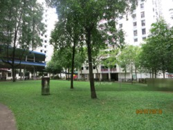 Blk 297A Compassvale Street (Sengkang), HDB 4 Rooms #192932982